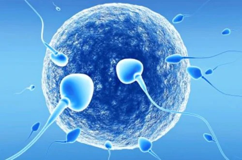 male_infertility