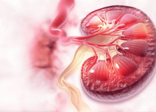 Hypertension and Renal Vascular Disorders: Optimizing 
                Blood Pressure Control